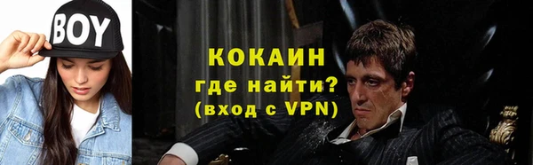 молекула духа Новозыбков