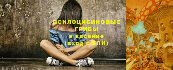мдпв Нягань