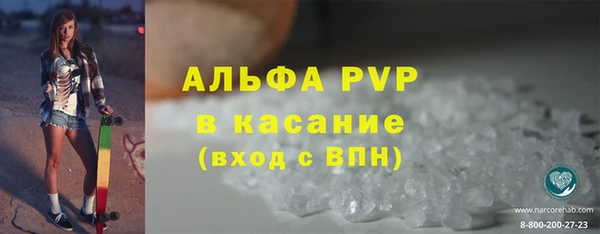 молекула духа Новозыбков