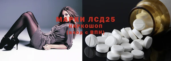 молекула духа Новозыбков
