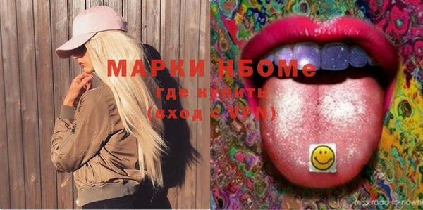 молекула духа Новозыбков