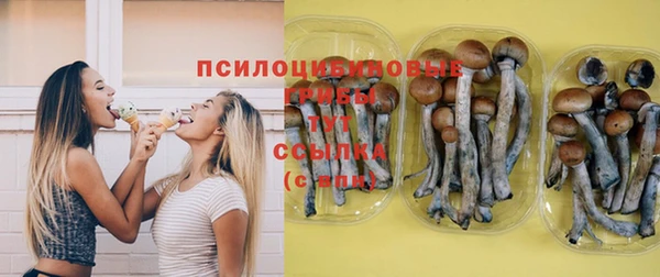 мяу мяу кристалл Нея