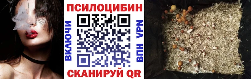 Псилоцибиновые грибы Psilocybe  Невельск 
