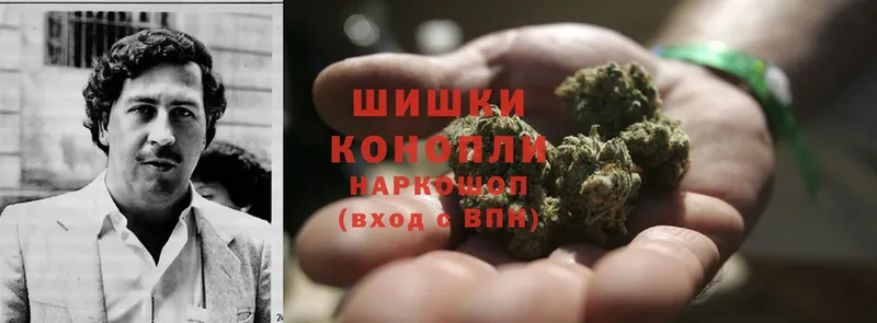 гидра tor  купить наркотики цена  Невельск  Канабис SATIVA & INDICA 